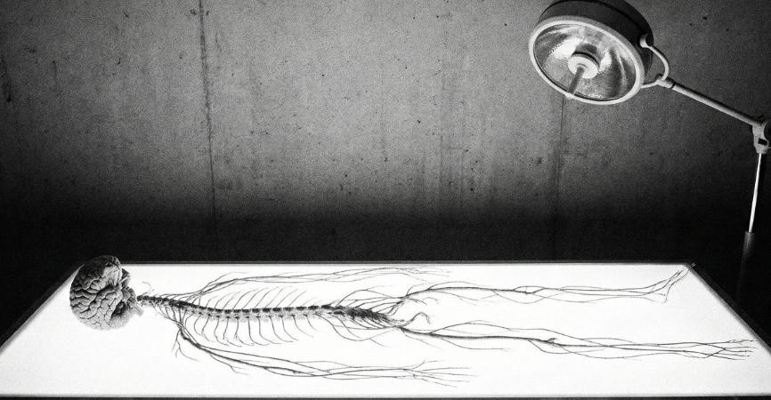 Sensation + Emotion: Building What Cannot Be Faked