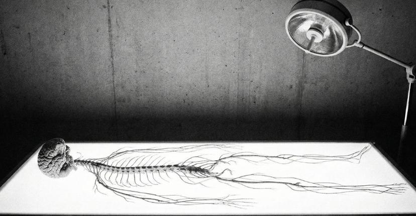 Sensation + Emotion: Building What Cannot Be Faked